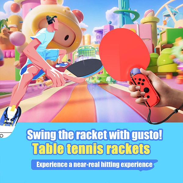 24 in 1 Switch Sports Accessories Bundle